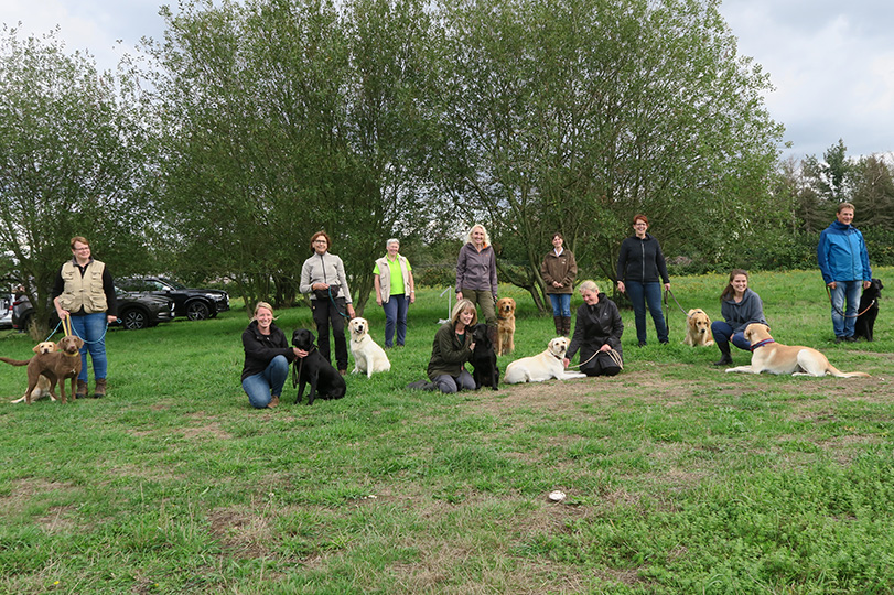 20200905_BHP-Gruppe